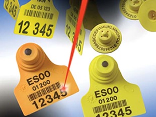 塑料制品中随处可见的激光打标、打码加工解决方案