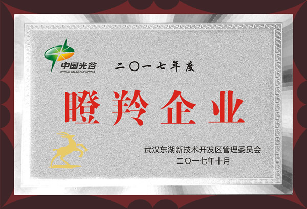 热烈庆祝鸿镭激光蝉联2017年度瞪羚企业